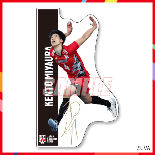 2024バレーボール男子日本代表くじ 第2弾 | カプくじオンライン