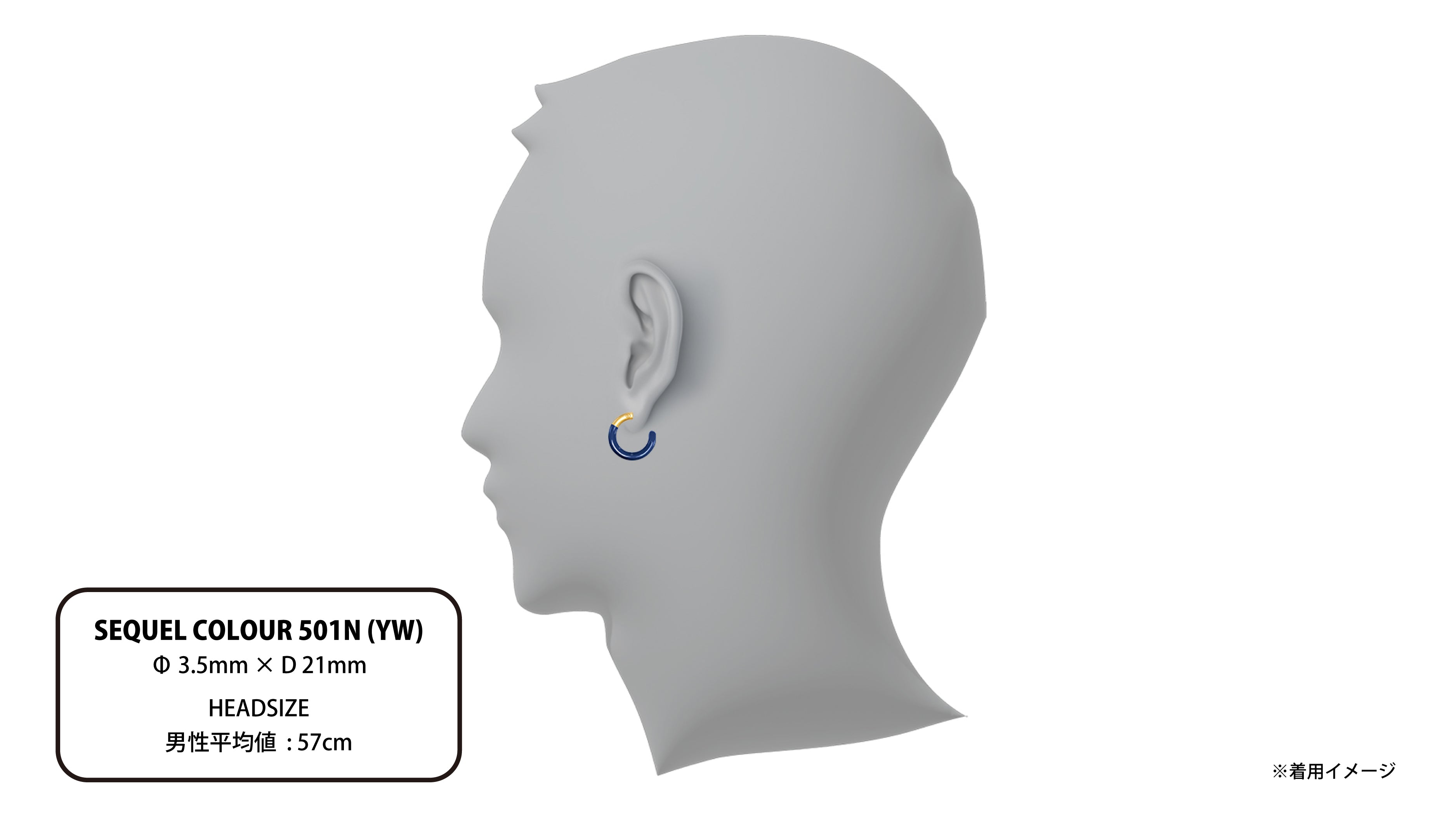 SEQUEL COLOUR 501N (YW) | CAREERING - キャリアリング公式オンライン