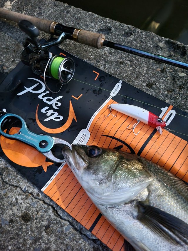 シマノ 23ワールドシャウラリミテッド 2702R-3 (スピニング 3ピース