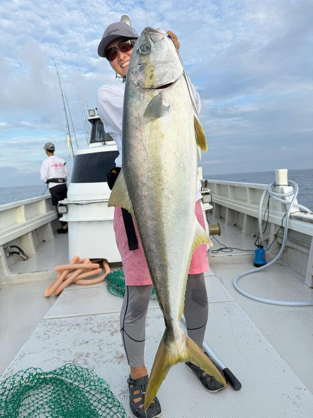 ダイワ スピニングリール 24セルテート LT5000D-XH(LT5000D-XH