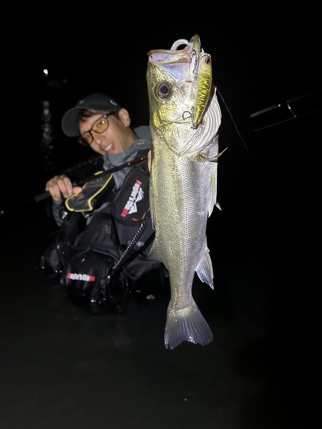 アピア シーバスロッド フージンZ ANGEL SHOOTER(エンジェルシューター