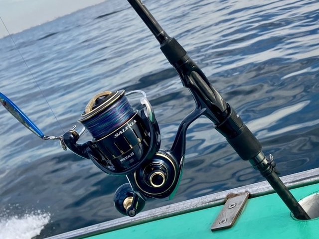 ダイワ スピニングリール 23ソルティガ 6000-H(6000-H): リール｜釣具
