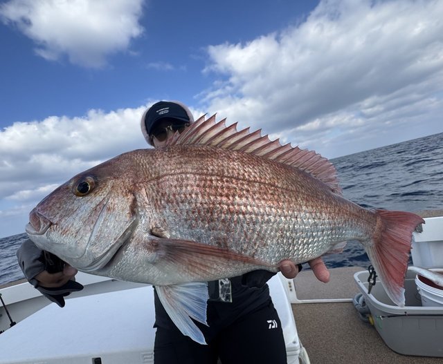 ダイワ オフショアロッド 紅牙X 69MHB-S(ベイト 2ピース)(69MHB-S): 竿