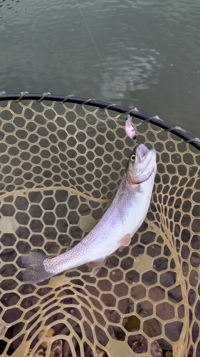 最新釣果 - 甲府店 [釣具のキャスティング]