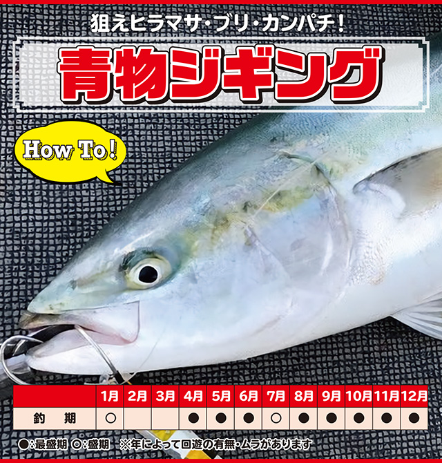 ヒラマサ・ブリ・カンパチ】青物ジギング - HOW TO [釣具のキャスティング]