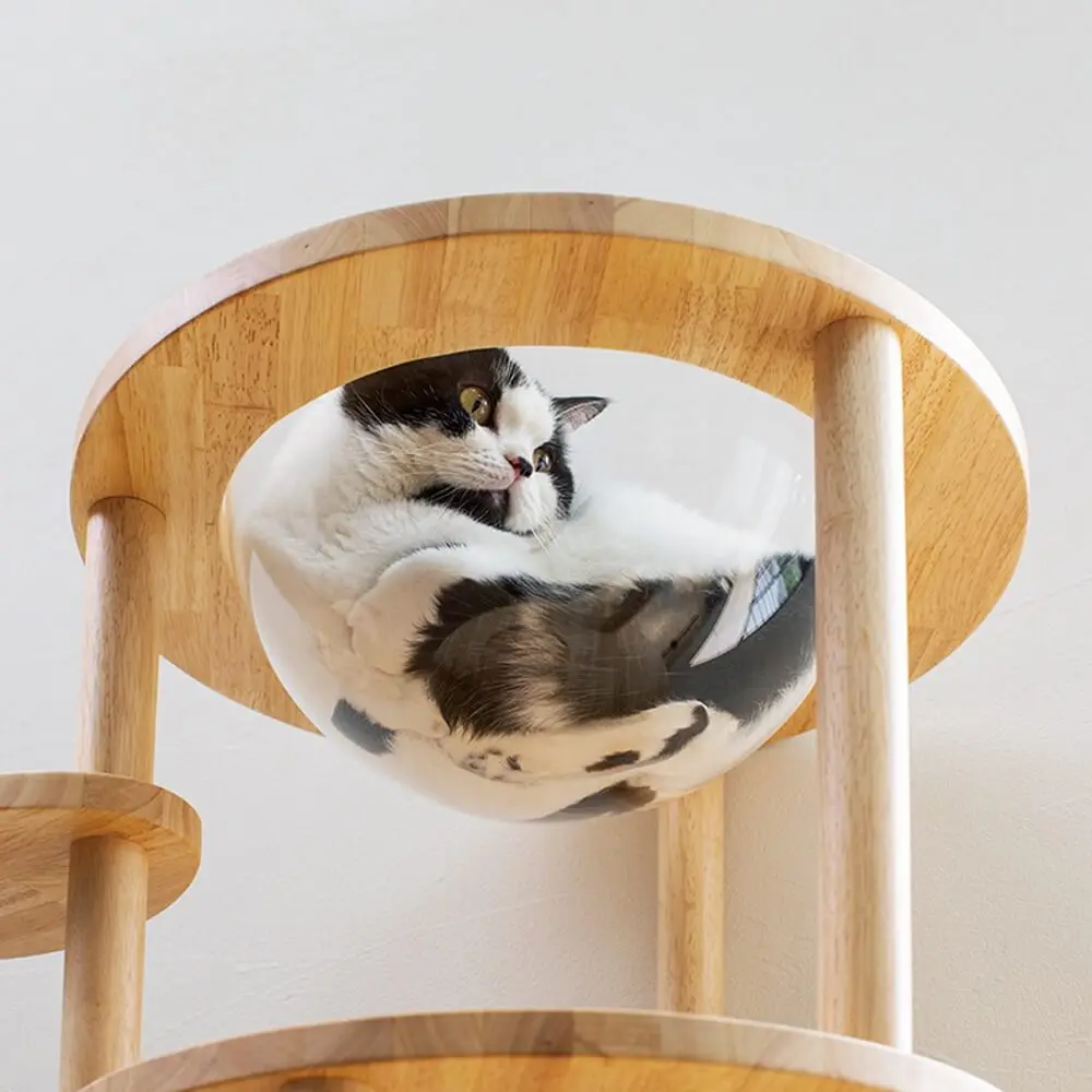 机とキャットタワーが一体化した斬新な家具がディノスから登場！自宅が