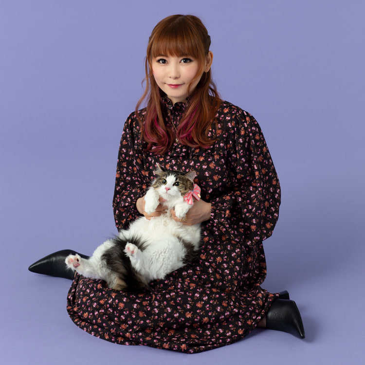 しょこたんの愛猫ピンクちゃんが『BSキャッ東』の社長に就任！ 記念