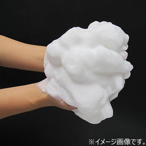 水橋保寿堂製薬 いつかの石ケン 100g｜【ハンズネットストア】