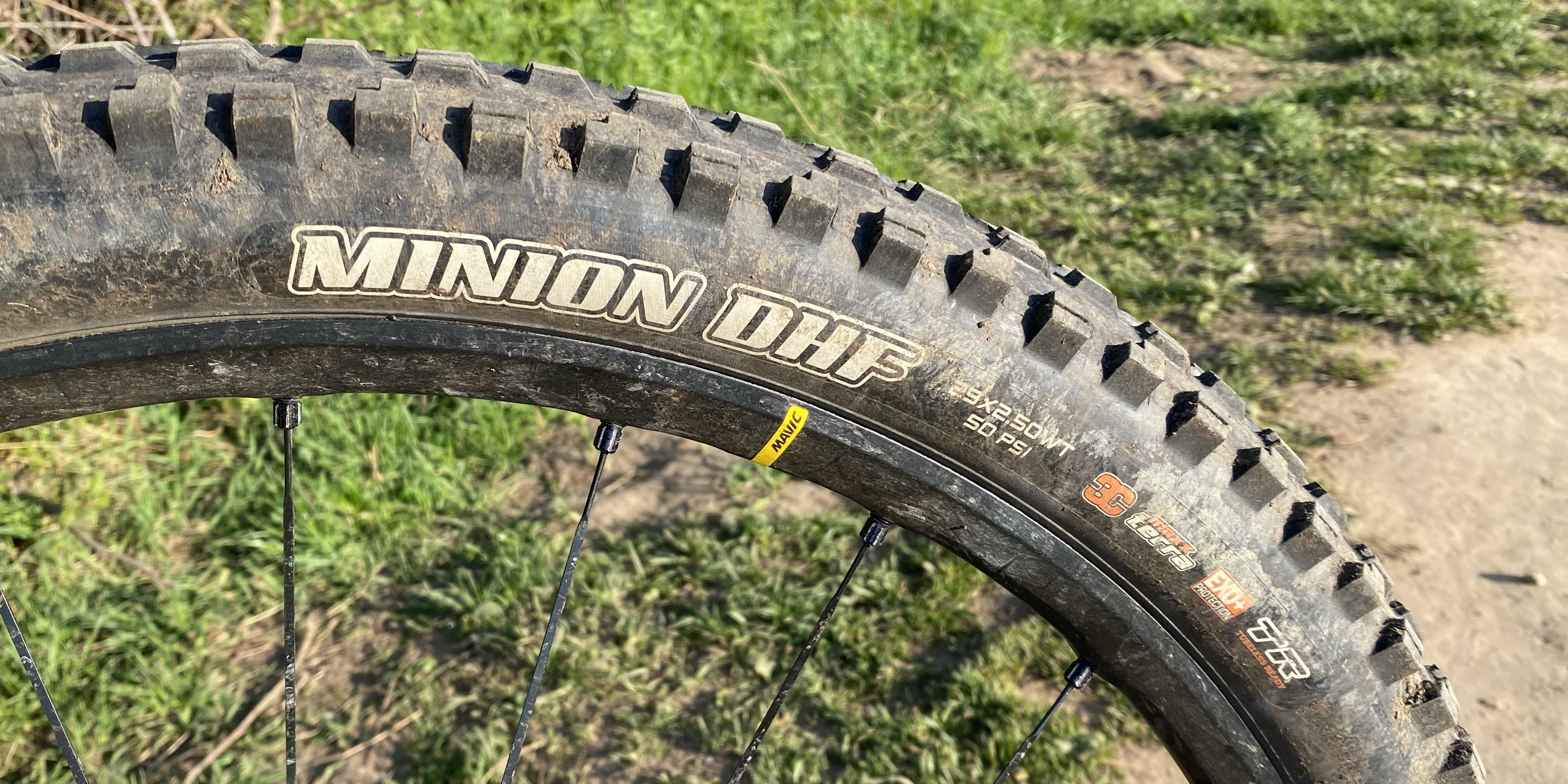Maxxis Minion DHF review | Bike Perfect