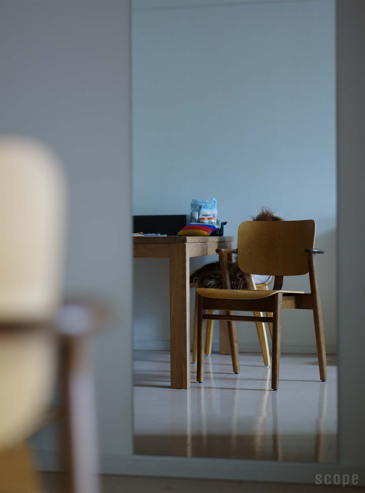 Domus Chair | Artek (アルテック)