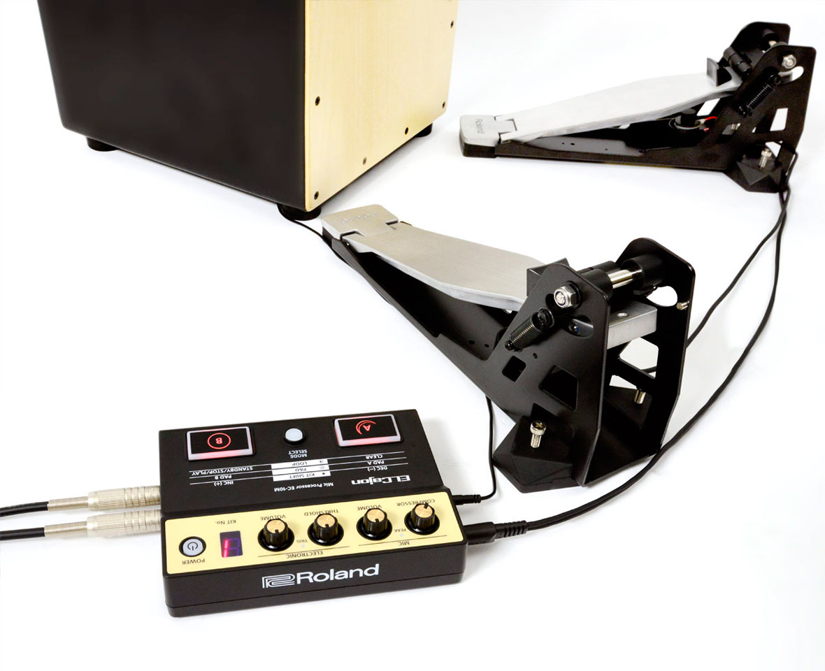 Roland India - EC-10M | ELCajon Mic Processor