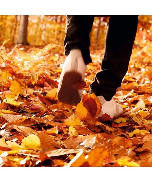 レプリカ オードトワレ オータム バイブス (100mL)（香水）｜Maison