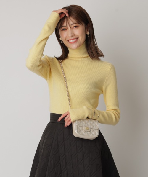 Apuweiser-riche（アプワイザーリッシェ）の「シンプルリブタートル