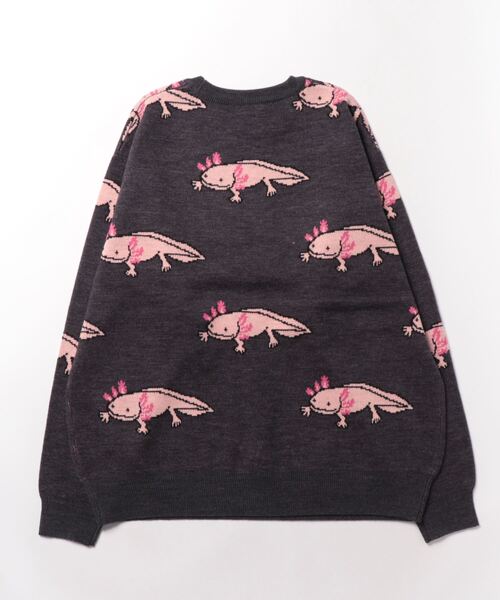 go slow caravan（ゴースローキャラバン）の「ウーパールーパー