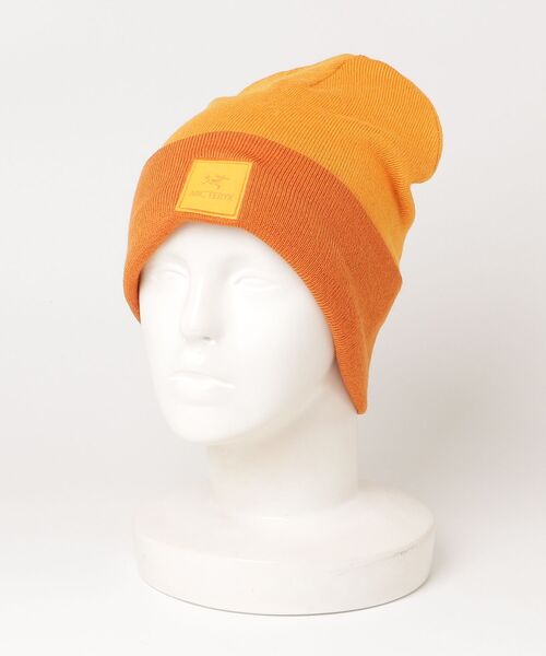ARC'TERYX/アークテリクス Color Block Toque（ニットキャップ