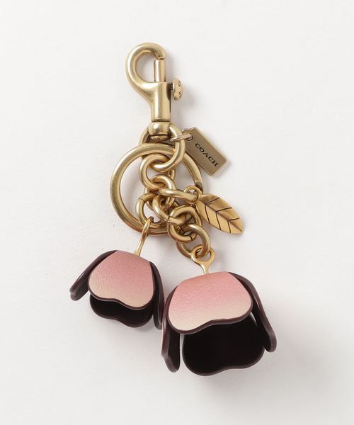 COACH（コーチ）の「【コーチ】オンブレ ティー ローズ バッグ