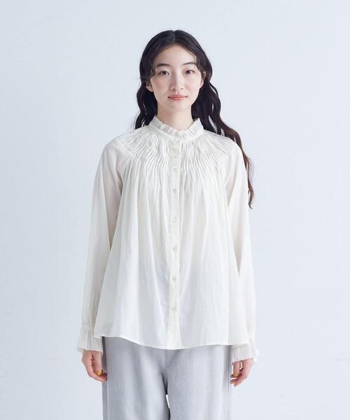 カウス・アウストラリス様確認用 カウス・アウストラリス様確認用