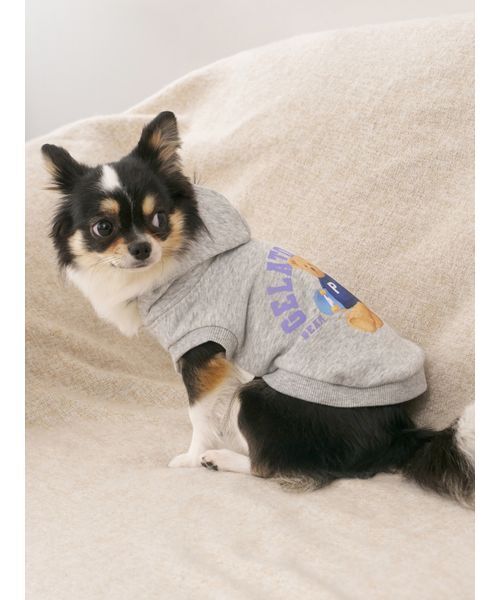 セール】【CAT&DOG】スポーティーベア裏毛プルオーバー（ペットウェア