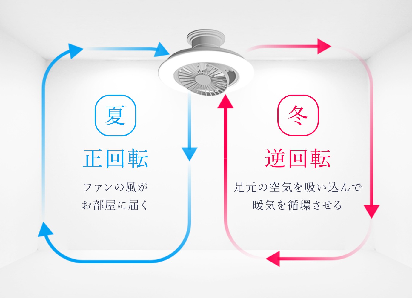 EZシリーズ スイングモデル｜CIRCULIGHT（サーキュライト）