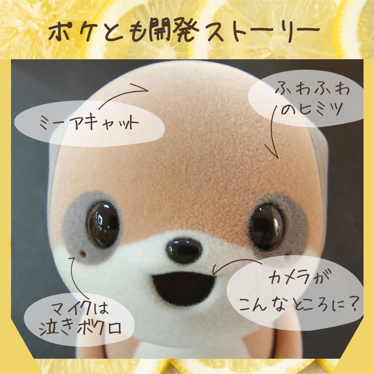 シャープ公式通販】 ポケとも本体 + ココロプラン for ポケとも + 卓上