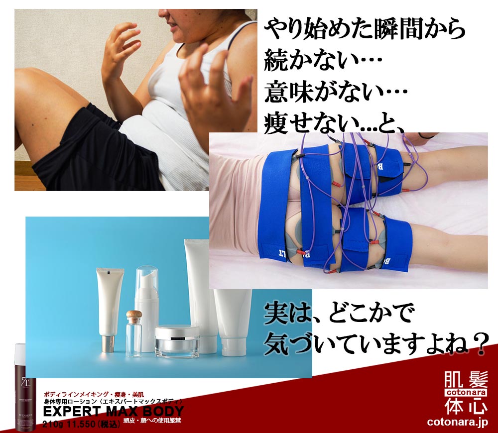 リアボーテ正規販売店】エキスパートマックスボディ ご購入方法と