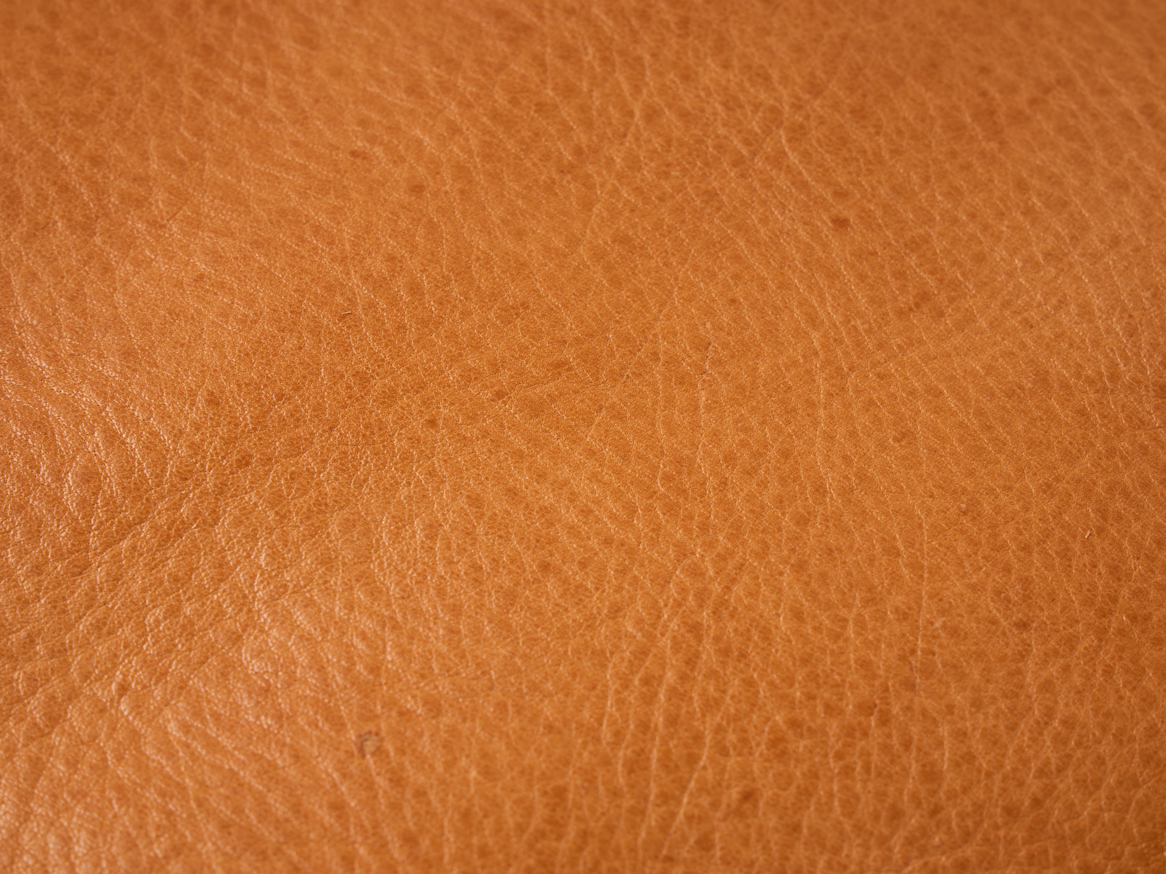 KIGO×2nd】ハンターズ キャリングケース【8月20日頃出荷】