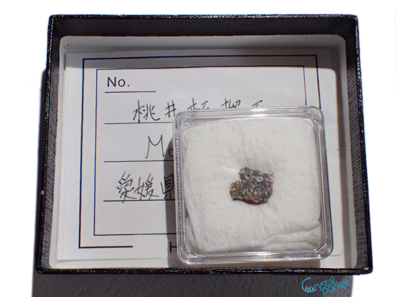 ニチカ 鉱物 化石 標本箱 PBT シリーズ - クリスタルポケット