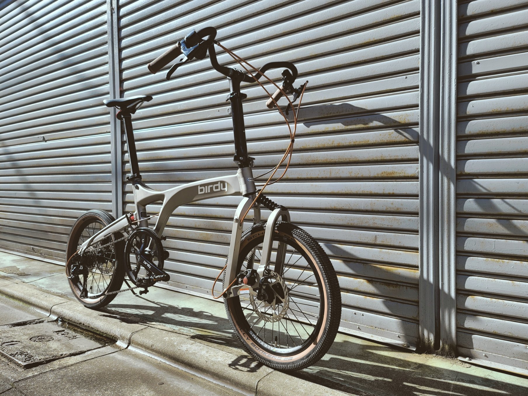 birdy STD × カスタム】個性的なハンドル装備による、ゆったりとした