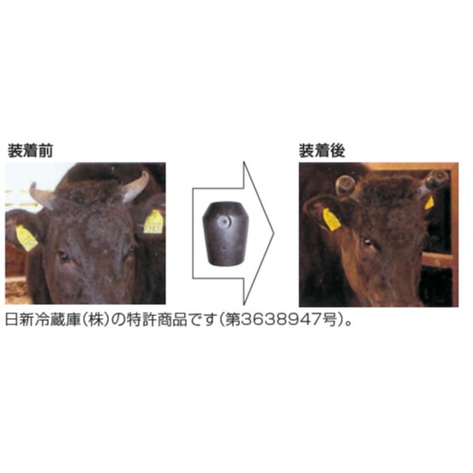 牛の角カバー・小（左右セット）【58718】｜デーリィマン社