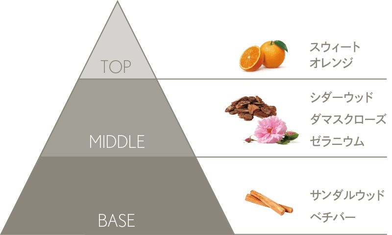 ザ シティ オブ セレニティ コフレ | comfort zone公式オンラインショップ