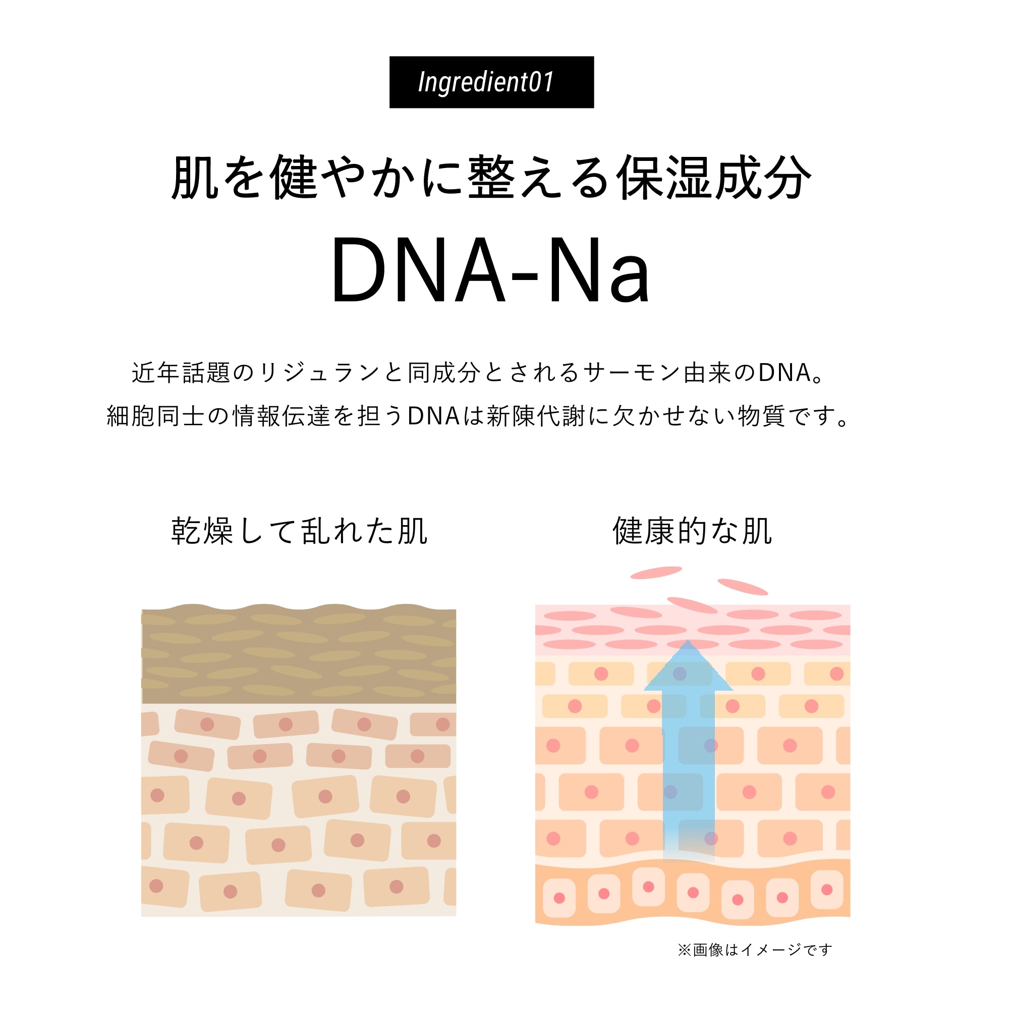 Deami (ディアミー) クッションファンデーション | DeAmi 公式