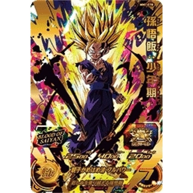 H2-16 P 孫悟飯:少年期 PSA10 孫悟飯：少年期 H2-16 旧段