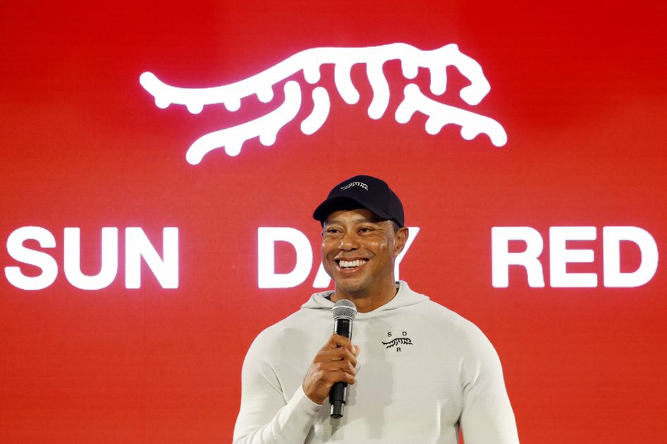 3CwOJioTstdl4y6rle1i.jpg?ver=ZxH4