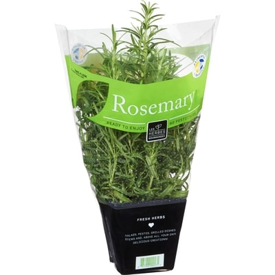 Fresh Rosemary, 4