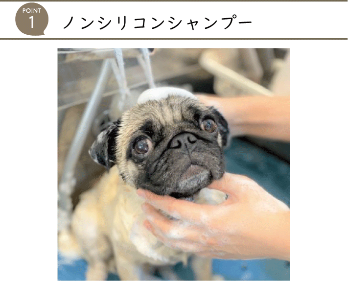 隠れた逸品 ベルベットシャンプー ｜動物ナビ｜14時までのご注文で当日発送