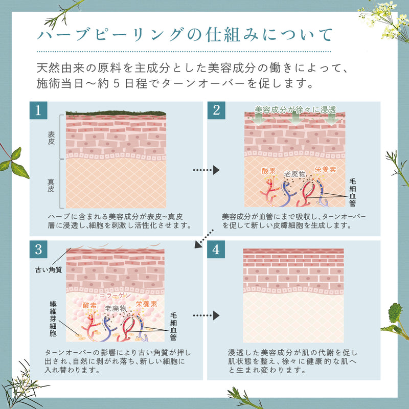 研修なし】プロノビセア ハーブピーリング初期導入セット