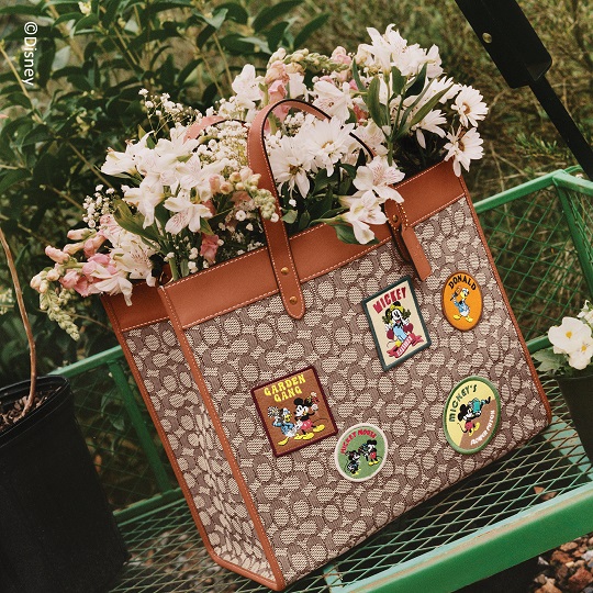 夢と魔法の世界観が融合したスペシャルアイテム！DISNEY x COACH