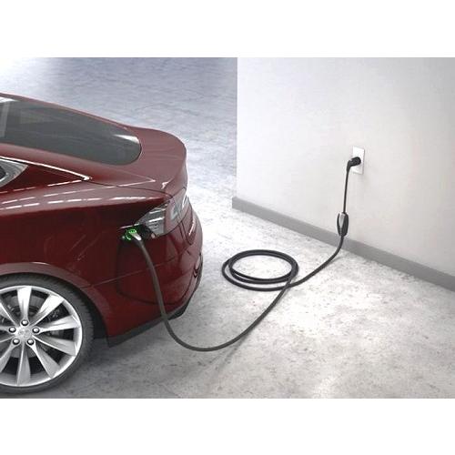 ブドウちゃん専用」テスラ モバイルコネクター ブドウちゃん専用