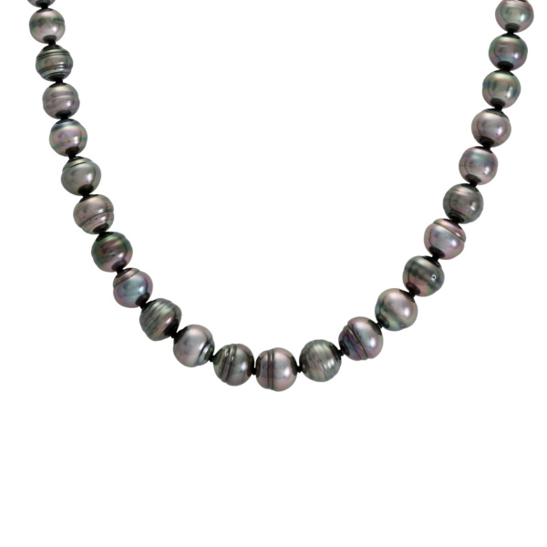 パール 高級ジュエリーの通販・販売 - ゆきざき