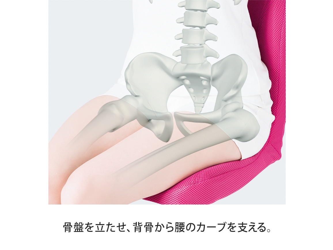 pinto 置くだけラクッションビューティー Deco Mu（専用