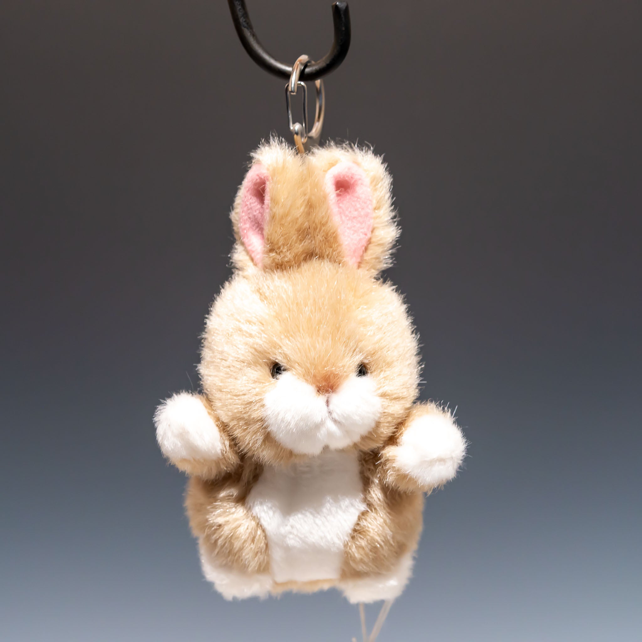 たけのこ TAKENOKO ぬいぐるみ プチ森のなかま ウサギ ベージュ 68441