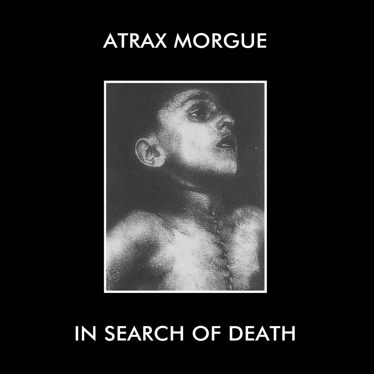 In Search Of Death | Atrax Morgue | Urashima