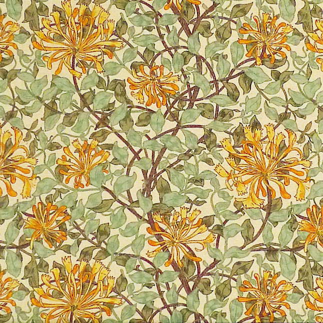 Fairy Cotton / ベスト・オブ・モリス すいかずら ハニーサックル