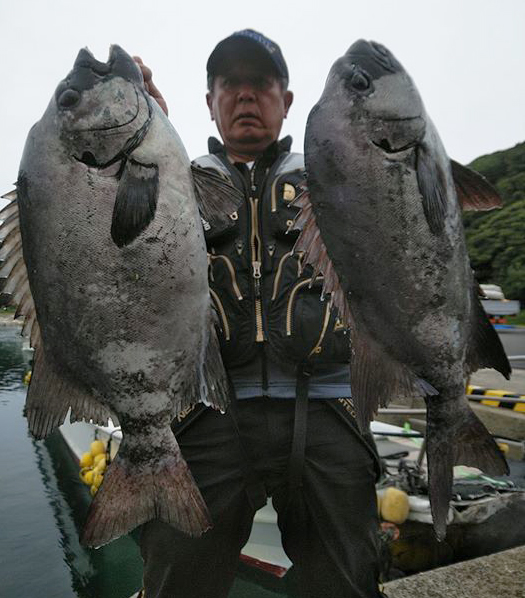 本石の釣果年間100枚突破！石鯛釣りの準備と仕掛けのポイント