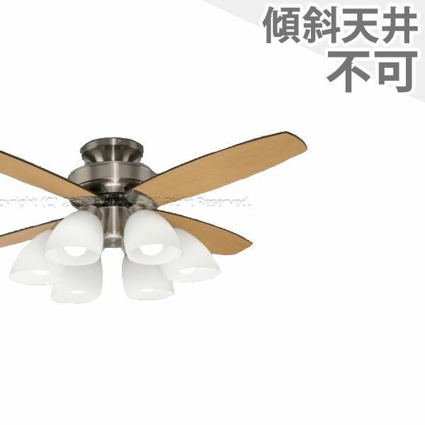 タキズミ製シーリングファンライト【ZDE001】【生産終了品】｜<公式