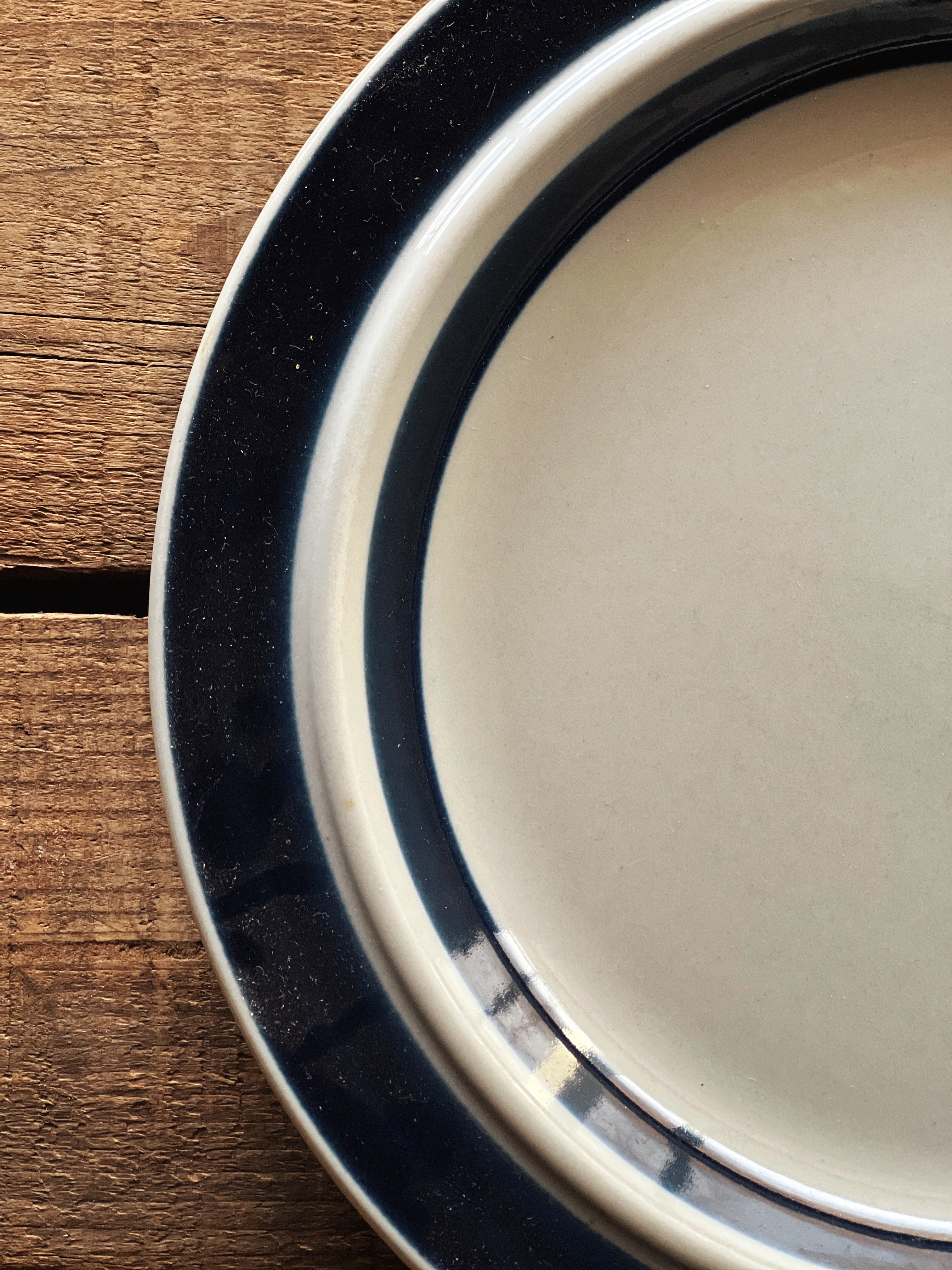 Vintage Arabia of Finland Anemone Blue Dinner Plate – feastvintage