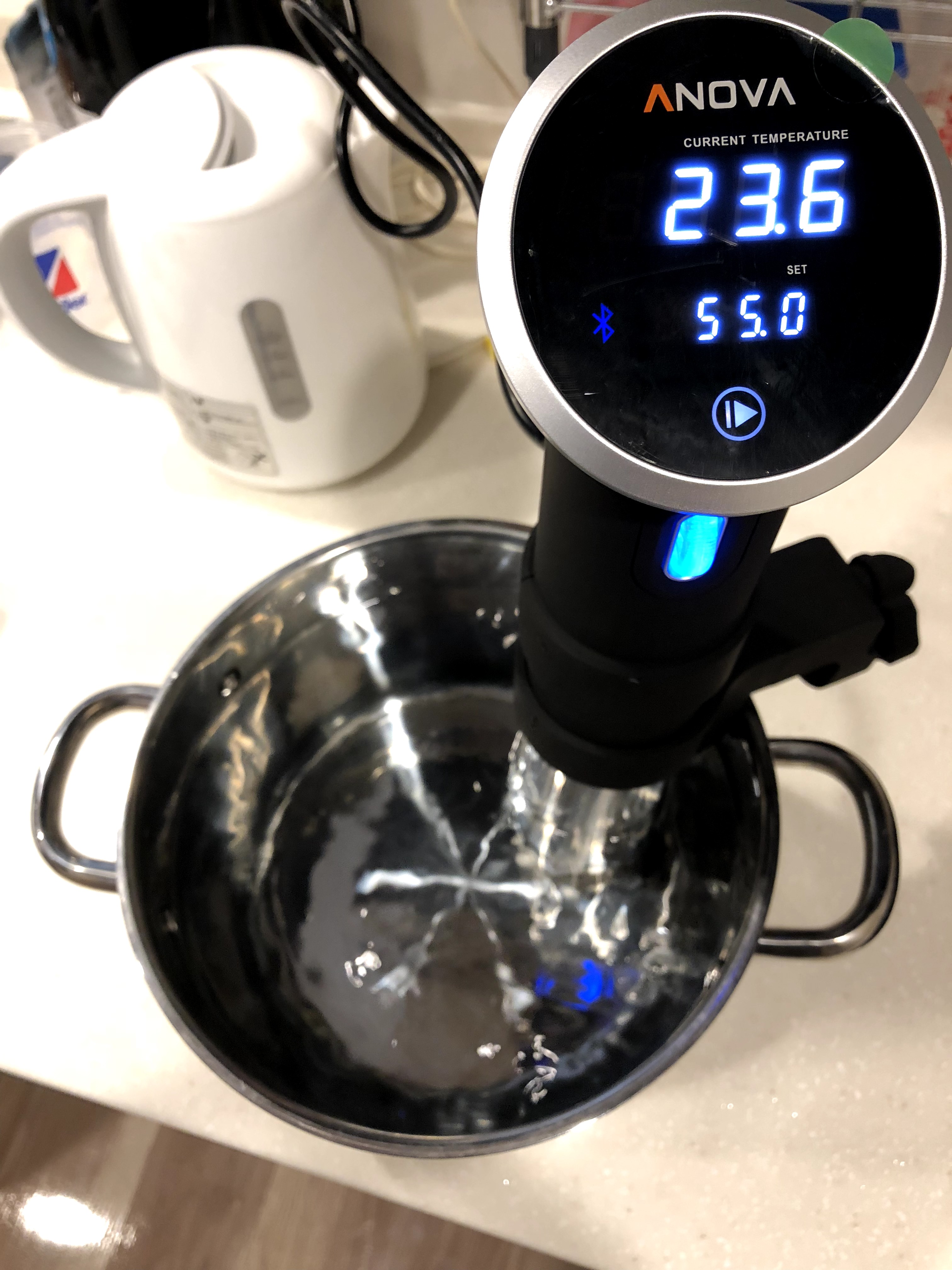 超オススメ家電】低温調理器ANOVA（アノーバ）の取扱説明書。自炊を