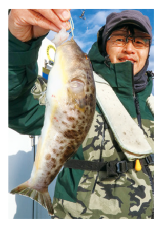 微細なアタリを掛ける楽しみ湾フグはヒガンフグの好期！