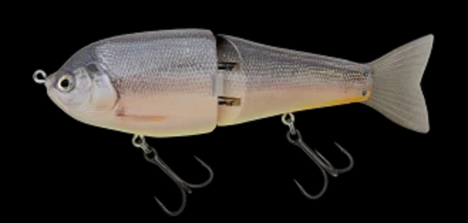 人気のヒラトップ170Fに2023年新カラー登場！【ノリーズ】