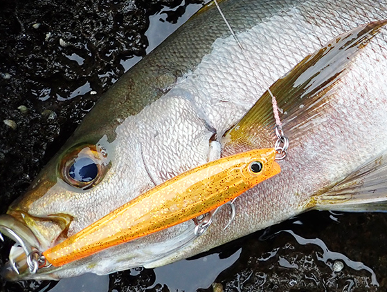 ウロコジグ モンスターショットルアー 釣り針などまとめ売り